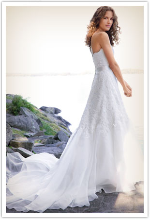 Lea Ann Belter Image2