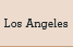 contact_la