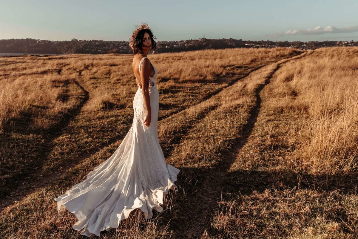 lovers society freja back 2